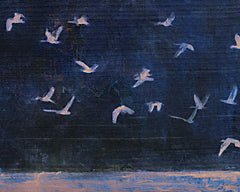 KAM1061 - Steller Evening - 16x12