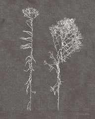 KAM221 - Humble Beauty 2 - 12x16