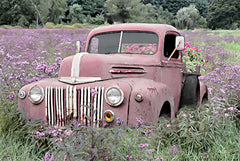 LD2156 - Country Girls Drive Trucks   - 18x12