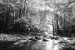 LD3014 - Little Pigeon River II  - 18x12