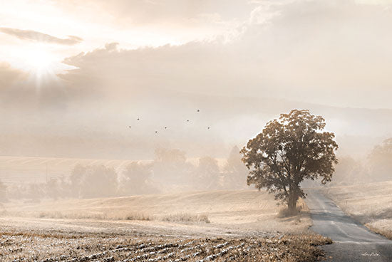 Lori Deiter LD3063 - Sepia Foggy Morning - 18x12 Photography, Landscape, Sepia, Fog, Foggy Morning, Morning, Tree, Road, Sun, Clouds, Sky from Penny Lane