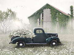 LD3106 - Dodge Full of Flowers - 16x12