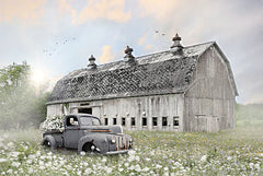 LD3221 - Big Ole Barn - 18x12