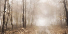 LD3247 - Dreamy Forest - 18x9