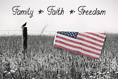 LD3318 - Family, Faith, Freedom - 18x12