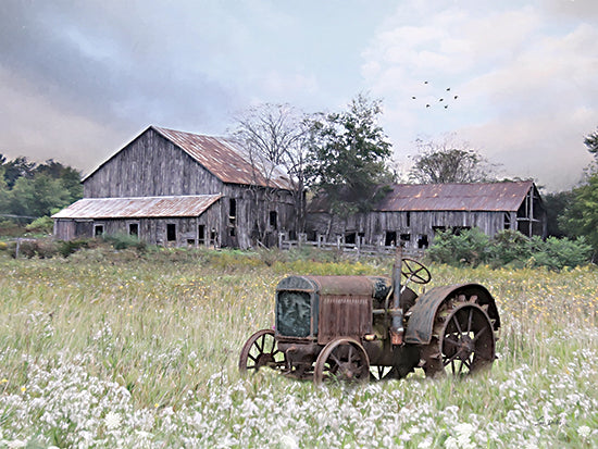 Lori Deiter LD3344 - LD3344 - Old Vermont Barn - 16x12 Photography, Farm, Barn, Landscape, Wildflowers, Tractor, Fields from Penny Lane