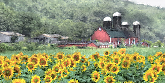 Lori Deiter LD3345 - LD3345 - Sunflower Farm - 18x9 Photography, Farm, Barn, Red Barns, Sunflowers, Sunflower Fields, Fall, Trees from Penny Lane