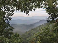 LD3531 - Lovely View - 16x12