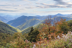 LD3536 - Signs of Autumn - 18x12