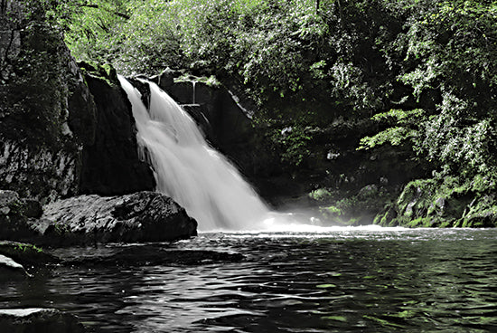 Lori Deiter LD3539 - LD3539 - Abrams Fall Cades Cove - 18x12 lush forest waterfall, nature scenery, flowing water in woods, tranquil outdoor landscape, green trees and rocks, peaceful wilderness from Penny Lane