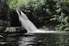 LD3539 - Abrams Fall Cades Cove - 18x12