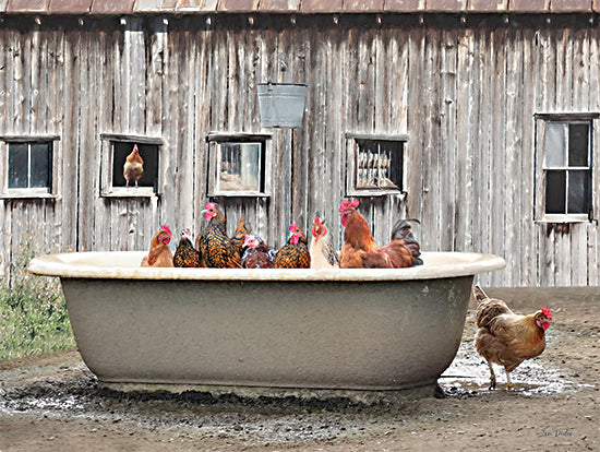 Lori Deiter LD3551 - LD3551 - Country Bathtub - 16x12 Photography, Bath, Bathroom, Whimsical, Chickens, Rooster, Barn, Bathtub, Pail, Farm Animals, Farm, Farmhouse/Country from Penny Lane