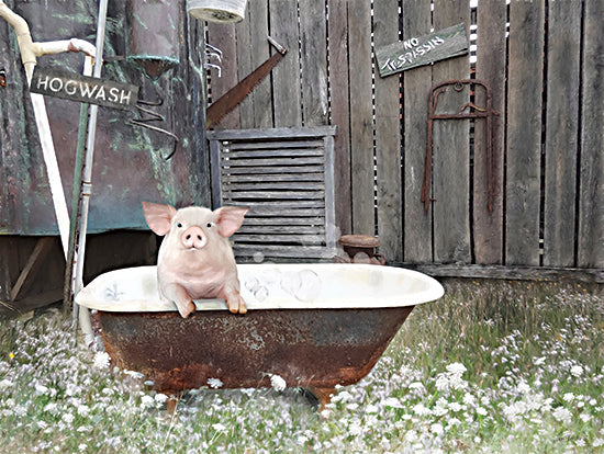 Lori Deiter LD3552 - LD3552 - Hogwash - 16x12 Photography, Bath, Bathroom, Whimsical, Pig, Barn, Bathtub, Farm Animal, Farm, Hogwash, Typography, Signs, Textual Art, Farmhouse/Country, Wildflowers from Penny Lane