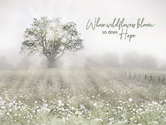 LD3573 - Where Wildflowers Bloom - 16x12