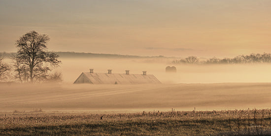 Lori Deiter LD3588 - LD3588 - Look Beyond - 18x9 Photography, Landscape, Barn, Farm, Fields, Haybales, Sunlight, Trees from Penny Lane
