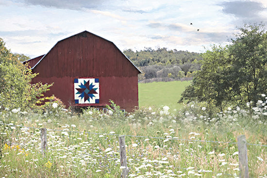 Lori Deiter LD3592 - LD3592 - Custom Built - 16x12 Photography, Farm, Barn, Red Barn, Quilt Block, Landscape, Trees, Fence, Wildflowers from Penny Lane