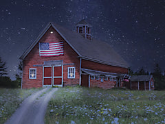 LD3596 - Patriotic Country Night   - 16x12