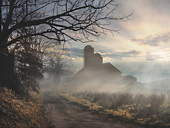 Lori Deiter LD3600 - LD3600 - Morning Glory - 18x12 barn silhouette, sunrise, country road, early morning mist, bare trees, foggy rural path, scenic sunrise, nature serenity from Penny Lane
