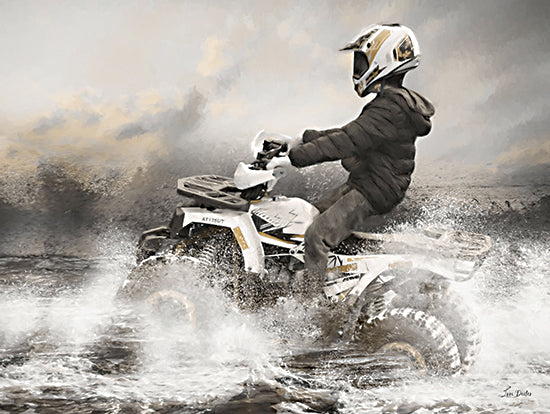 Lori Deiter LD3609 - LD3609 - Splish Splash ATV II - 16x12 foggy forest, misty trees, calm atmosphere, dense woodland, tranquil landscape, evergreen trees, dreamy nature scene from Penny Lane