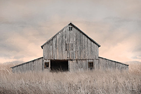 Lori Deiter LD3627 - LD3627 - Home on the Range - 18x12 weathered barn, neutral tones, field of grass, cloudy sky, rustic architecture, rural simplicity, pastel sky, country stillness from Penny Lane
