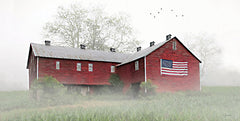 LD3641 - Historic Patriotic Barn - 18x9