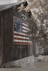 LD3642 - American Pride - 12x18