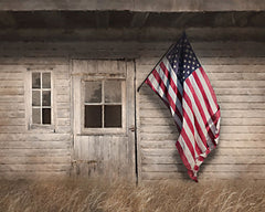 LD3643 - Rustic American Farmhouse - 16x12