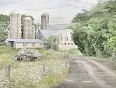 LD3645 - Old Country Lane - 16x12