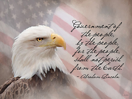 Lori Deiter LD3647 - LD3647 - For the People        - 16x12 bald eagle, American flag, Abraham Lincoln quote, patriotic animal, freedom art from Penny Lane