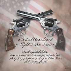 LD3648 - The 2nd Amendment    - 12x12