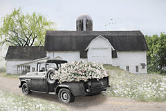 LD3676 - Willow Tree Farms - 18x12