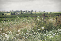 LD3691 - Flower Valley Field - 18x12