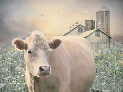 LD3709 - Among the Wildflowers - 16x12