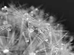 LD3721 - Droplet in Time I - 16x12