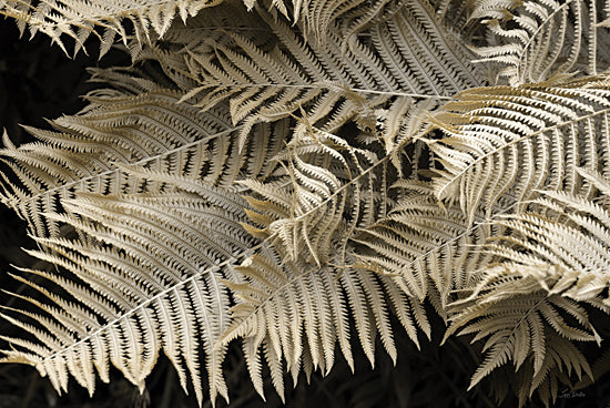 Lori Deiter LD3738 - LD3738 - Golden Ferns II - 18x12 palm fronds, tropical plant, bold contrast, botanical art, black background, silhouette of leaves, exotic nature from Penny Lane