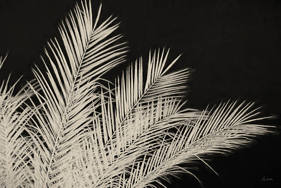 Lori Deiter LD3739 - LD3739 - Palm Pattern - 18x12 tall grass, abstract nature, light and shadow, monochrome grass scene, minimalistic plant, close-up grass blades from Penny Lane