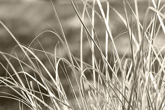 Lori Deiter LD3742 - LD3742 - By the Pond - 18x12 abstract grass, nature close-up, thin blades, green monochrome, plant texture, linear pattern, natural lines, soft focus, minimalist aesthetic from Penny Lane