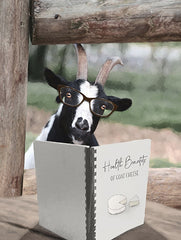 LD3747 - Health Benefits of Goat Cheese - 12x16