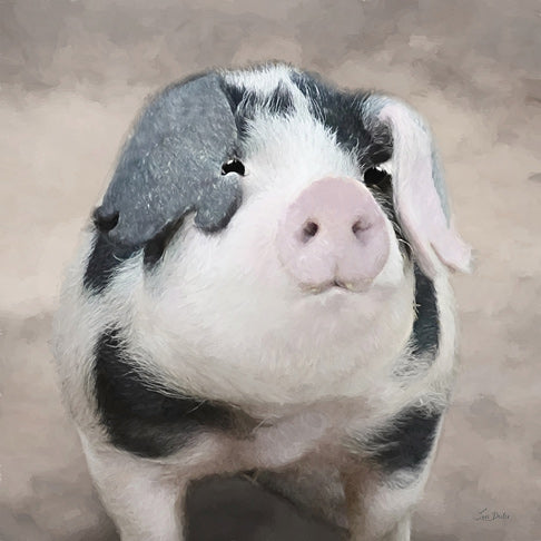 Lori Deiter LD3750 - LD3750 - Hamlet - 12x12 Pig, Cute, Animal, Farm Animal, Portrait, Pet, Countryside from Penny Lane