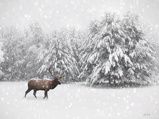 Lori Deiter LD3751 - LD3751 - Silent Strides - 16x12 elk in snow, snowfall, winter forest, wilderness animal, snow-covered trees, peaceful winter scene, antlers, solitude in nature, forest wildlife from Penny Lane