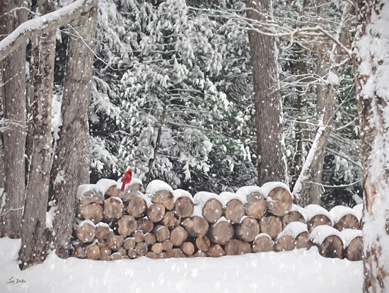 Lori Deiter LD3753 - LD3753 - Red Among White - 16x12 stacked firewood, red cardinal bird, snow-covered logs, winter forest, wildlife in snow, seasonal charm, peaceful woodland, forest floor from Penny Lane