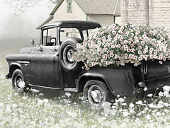 LD3773 - Favorite Old Truck - 16x12