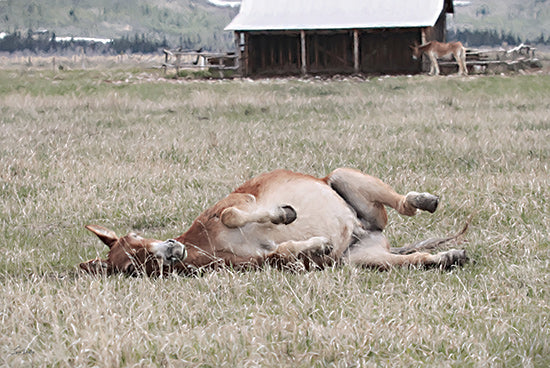 Lori Deiter LD3782 - LD3782 - After Dinner Nap - 18x12 mule, rolling on grass, farm animal, rural life, countryside from Penny Lane