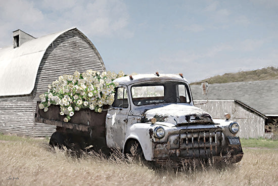 Lori Deiter LD3784 - LD3784 - Summer in the Northeast - 18x12 old white truck, flowers in truck bed, rural barn, countryside, rustic charm, abandoned vehicle, field grass, weathered wood, vintage, farm setting from Penny Lane