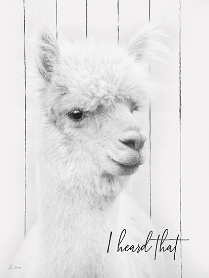 Lori Deiter LD3788 - LD3788 - I Heard That - 12x16 white alpaca, cute expression, fluffy fur, wooden backdrop, humorous caption, modern minimalist, wall art, funny animal photo, farmhouse decor from Penny Lane