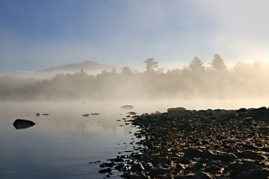 Lori Deiter LD3792 - LD3792 - Lakeshore Misty Morning - 18x12 lake, misty morning, fog over water, landscape, trees, nature scene from Penny Lane