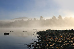 LD3792 - Lakeshore Misty Morning - 18x12