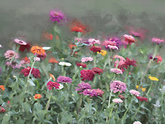 LD3797 - Summer's Bounty - 16x12