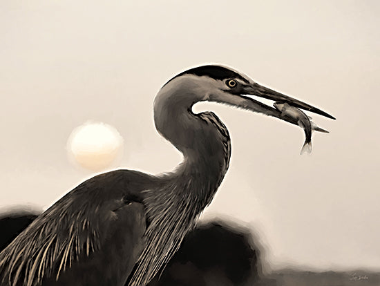 Lori Deiter LD3809 - LD3809 - Catch of the Day - 16x12 heron, bird with fish, sunset silhouette, elegant feathers, aquatic hunting, nature photography style, close-up bird, golden hour light from Penny Lane