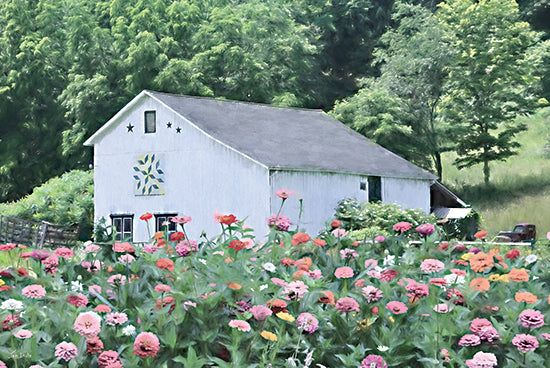 Lori Deiter LD3812 - LD3812 - Hidden Behind Blooms - 18x12 white barn, wildflowers, zinnias, green foliage, countryside, rural, summer, garden, painted barn, stars, quilt pattern, farm aesthetic from Penny Lane